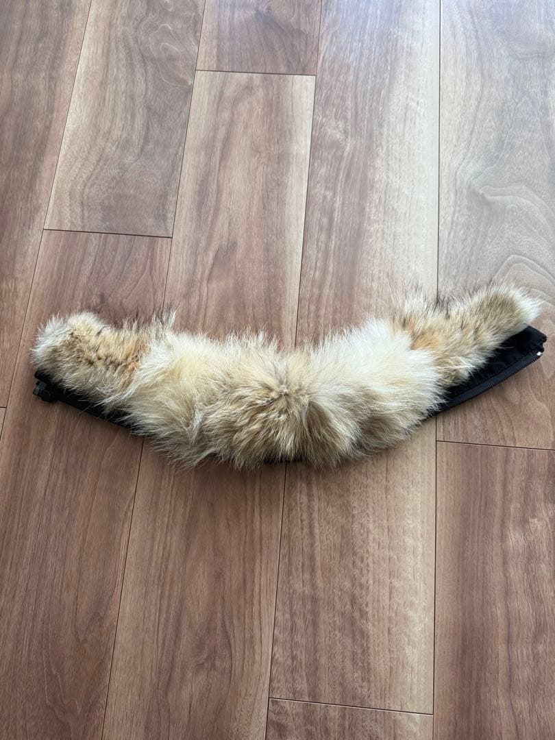 【XS】カナダグース  ジャスパー