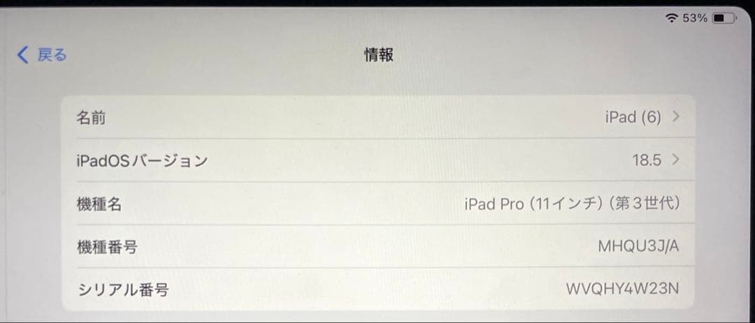 Apple iPad Pro 11インチ 第3世代　グレー 256GB カバー付