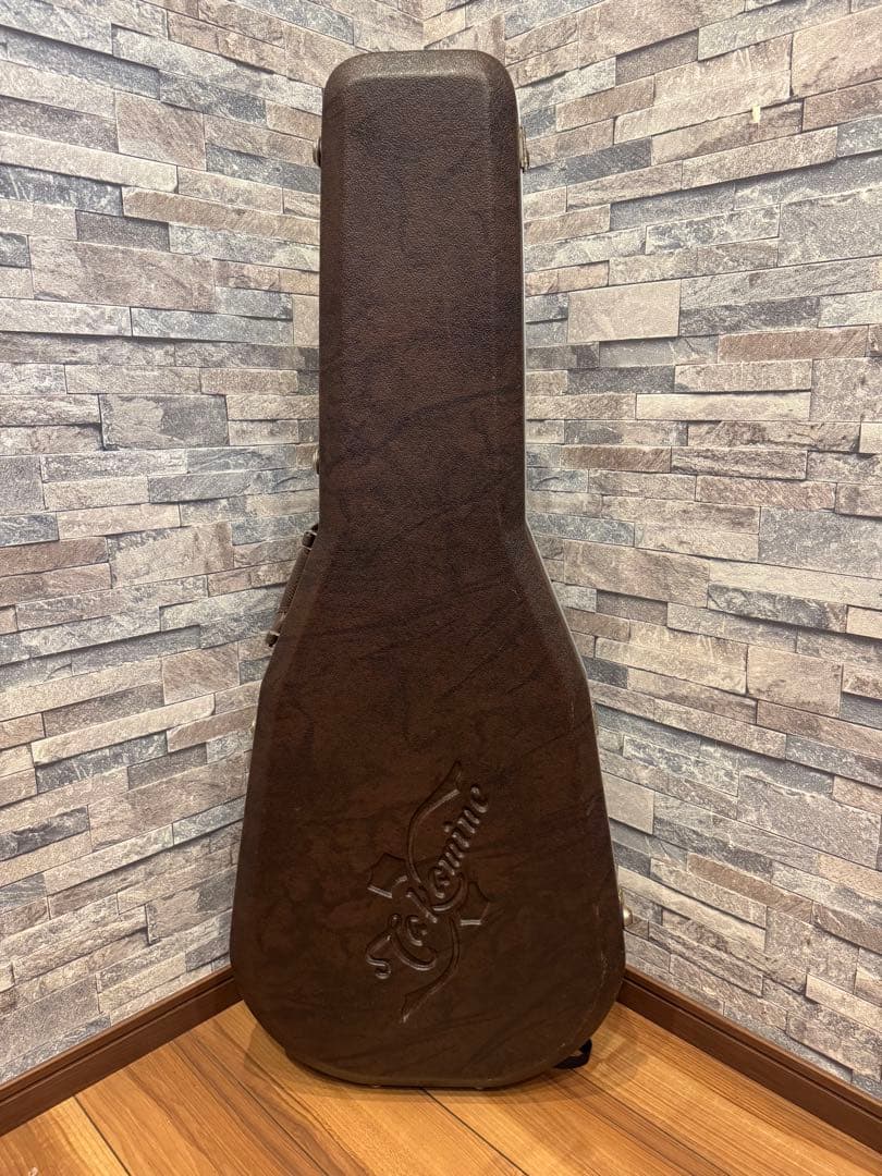 Takamine TSA500アコースティックギター 、ハードケース、チップ