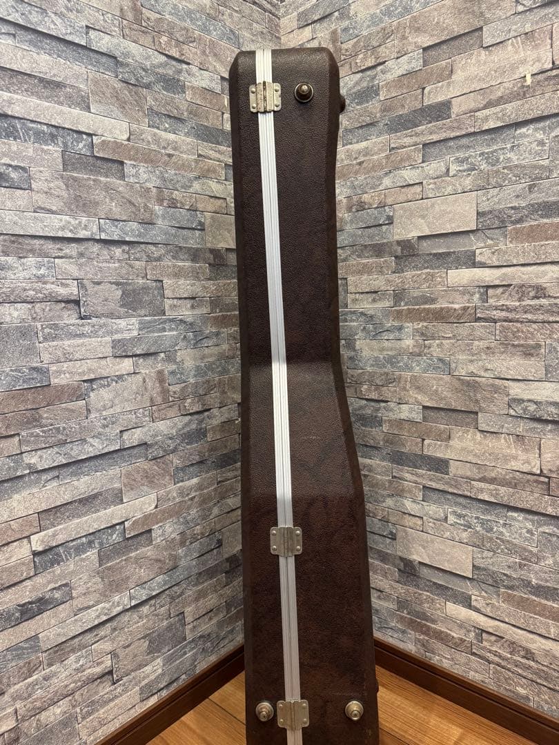 Takamine TSA500アコースティックギター 、ハードケース、チップ