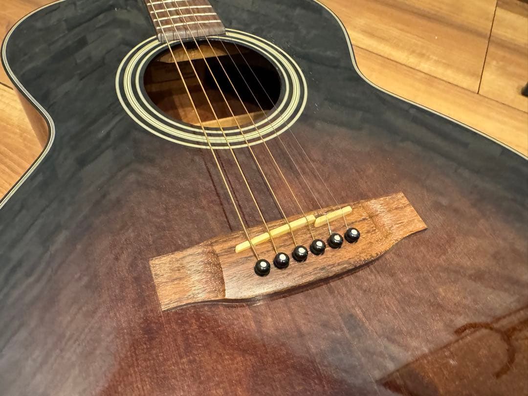 Takamine TSA500アコースティックギター 、ハードケース、チップ