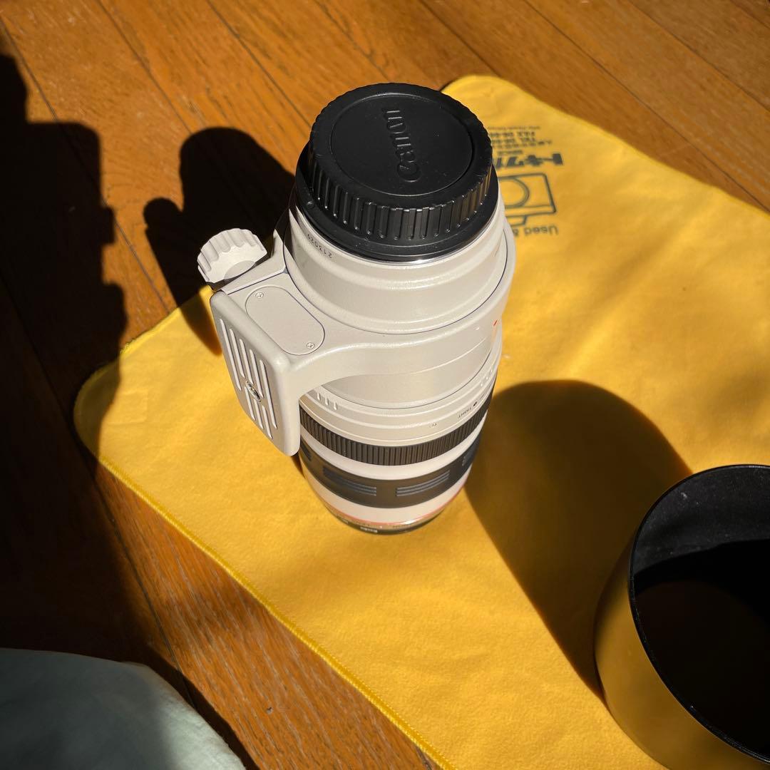 キヤノン　EF100-400 L 4.5-5.6 is ultrasonic