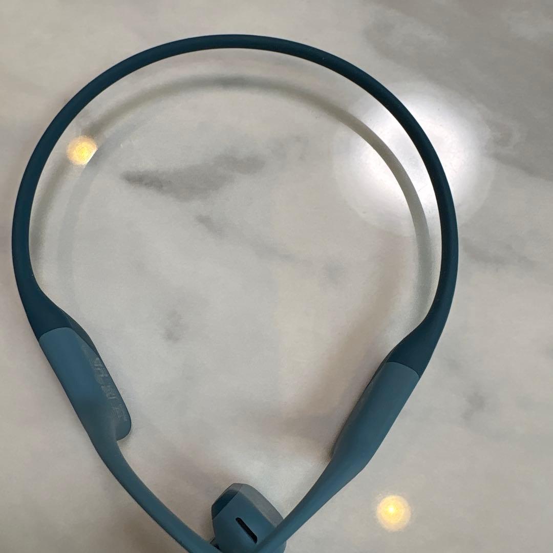 イヤホン SHOKZ OPENRUN PRO s810