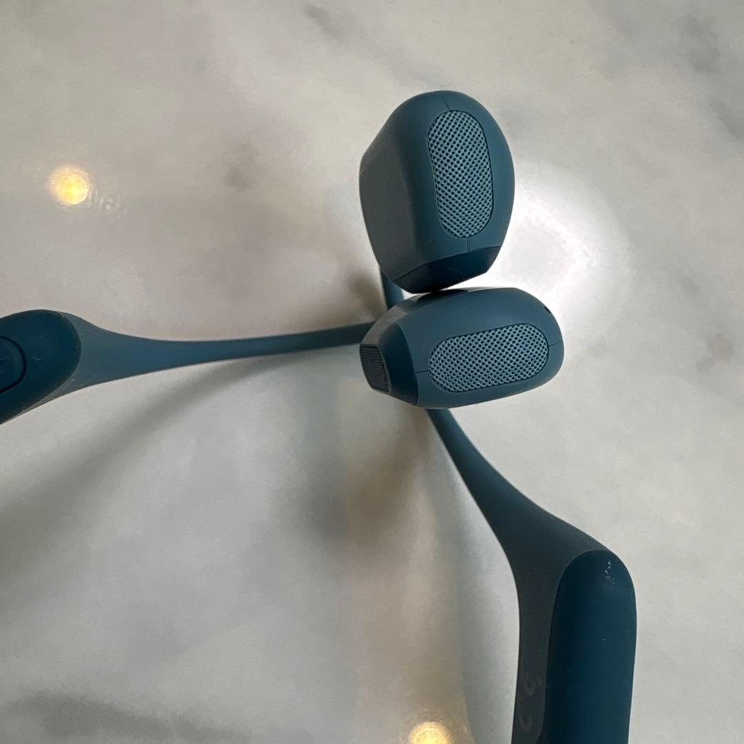 イヤホン SHOKZ OPENRUN PRO s810