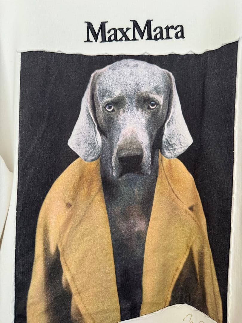 【美品】マックスマーラ　Max Mara バッコ　スウェット