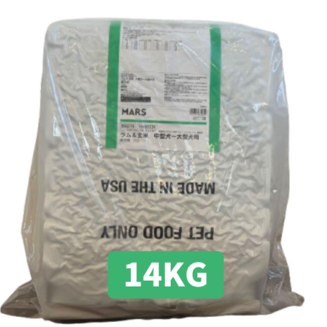 Chqn. プロフィール見て下さい