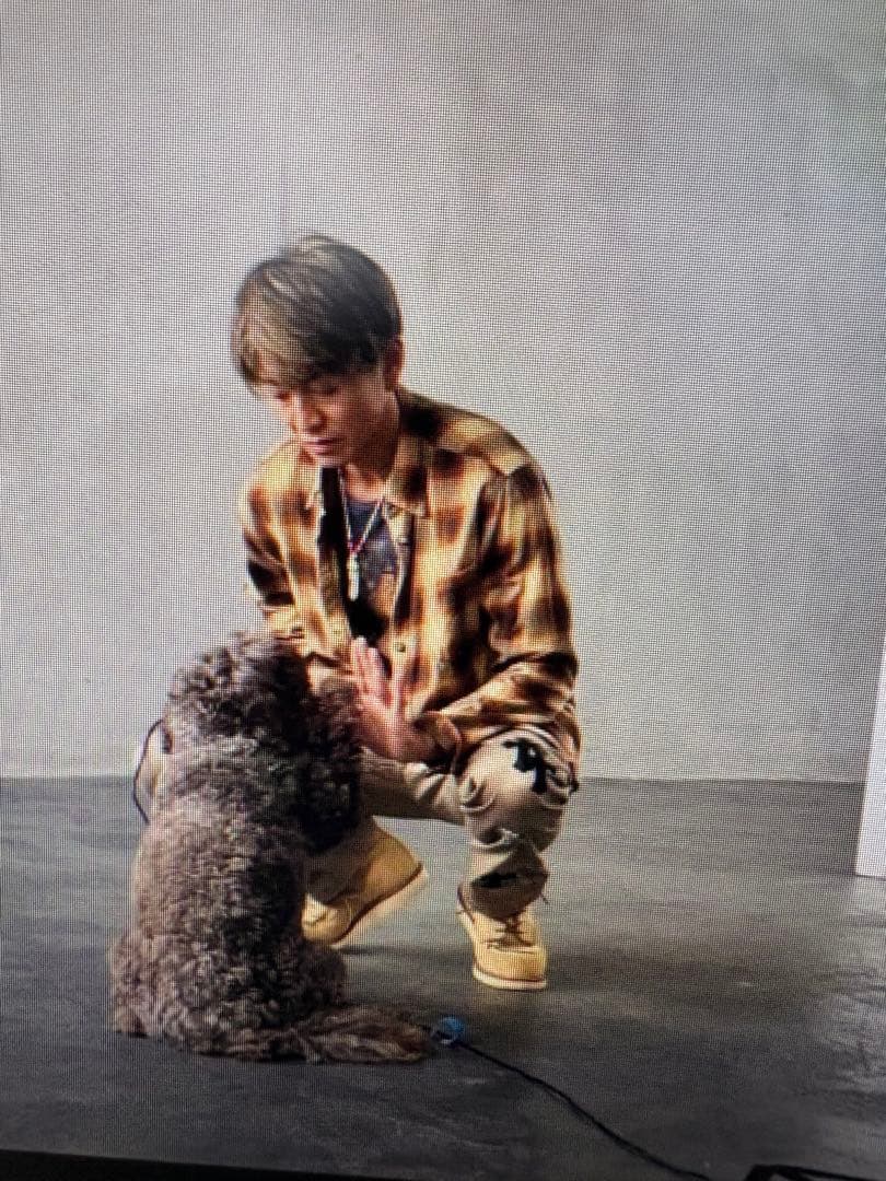 RED WING 8833 6INCH CLASSIC MOC US9 美品