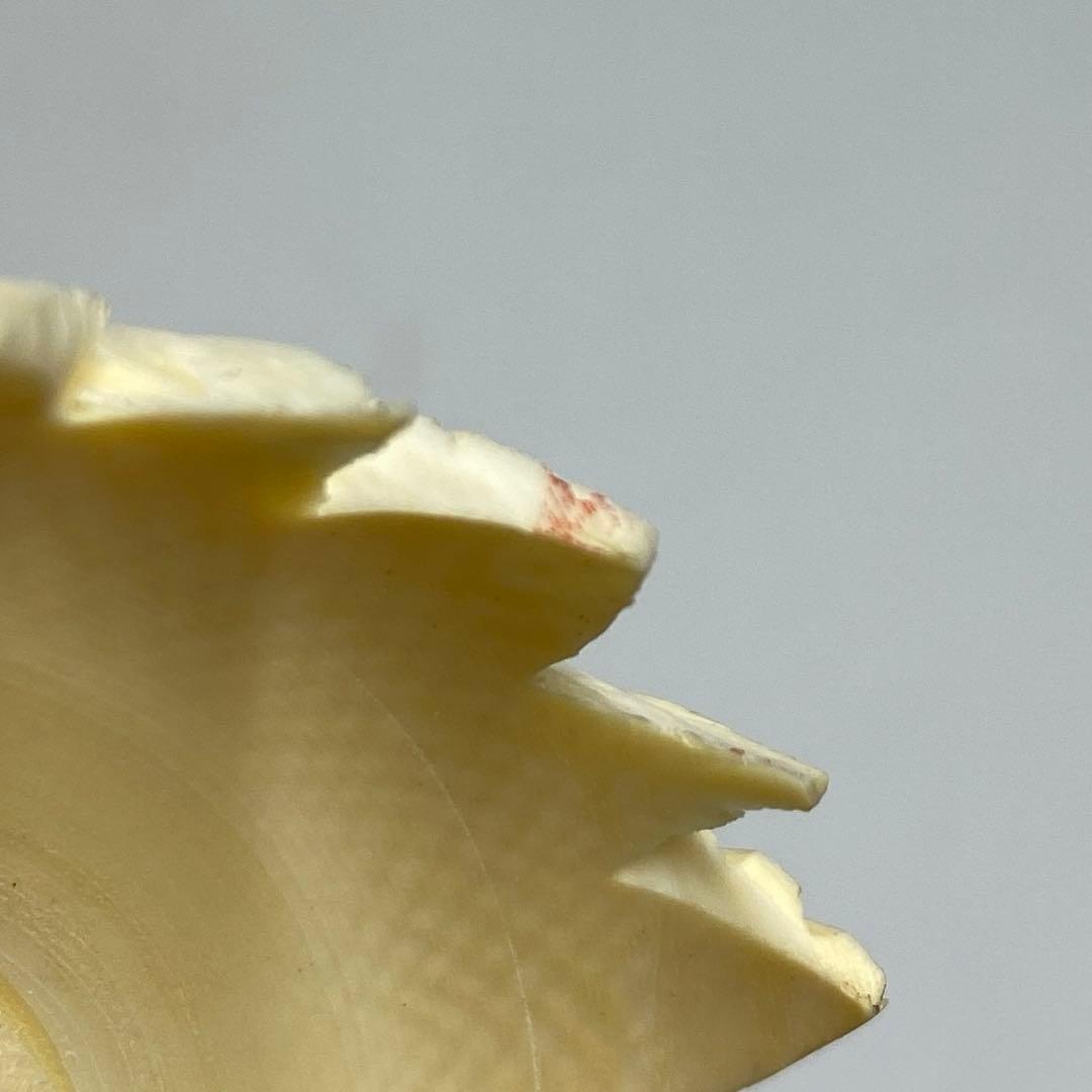 極上　天球　123g h20cm 東K7-1211☆2F トヒチサ