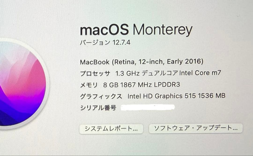 【美品】 MacBook A1534 12インチ メモリ8G 512GB ピンク