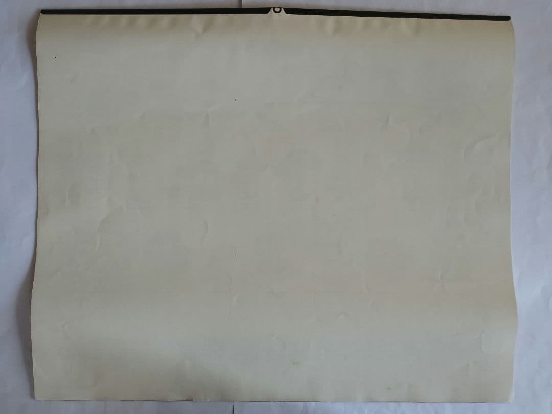 BE-PAL ビーパル カレンダー 新品未使用 1991年植物編 ヴィンテージ