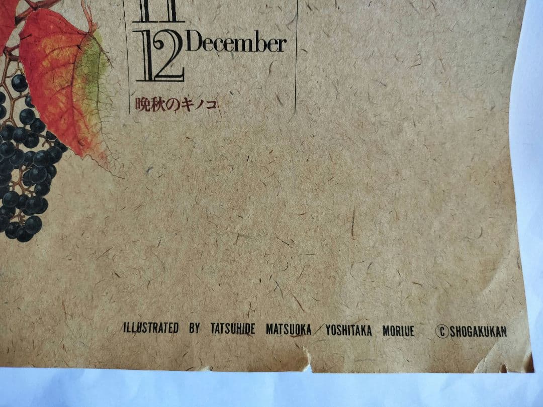 BE-PAL ビーパル カレンダー 新品未使用 1991年植物編 ヴィンテージ