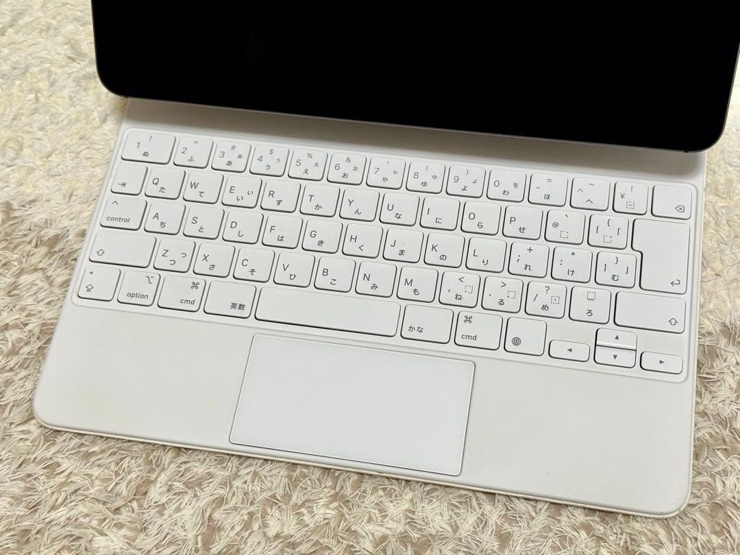 iPad Pro 12.9インチ 第5世代 512GB Cellularモデル