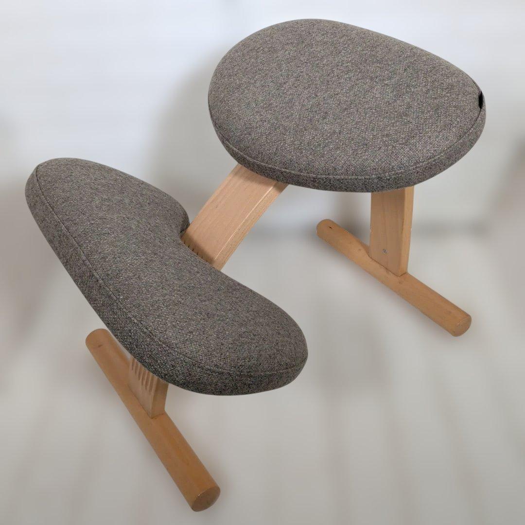 ①Rybo社製 Balans®EASY バランスイージーチェア