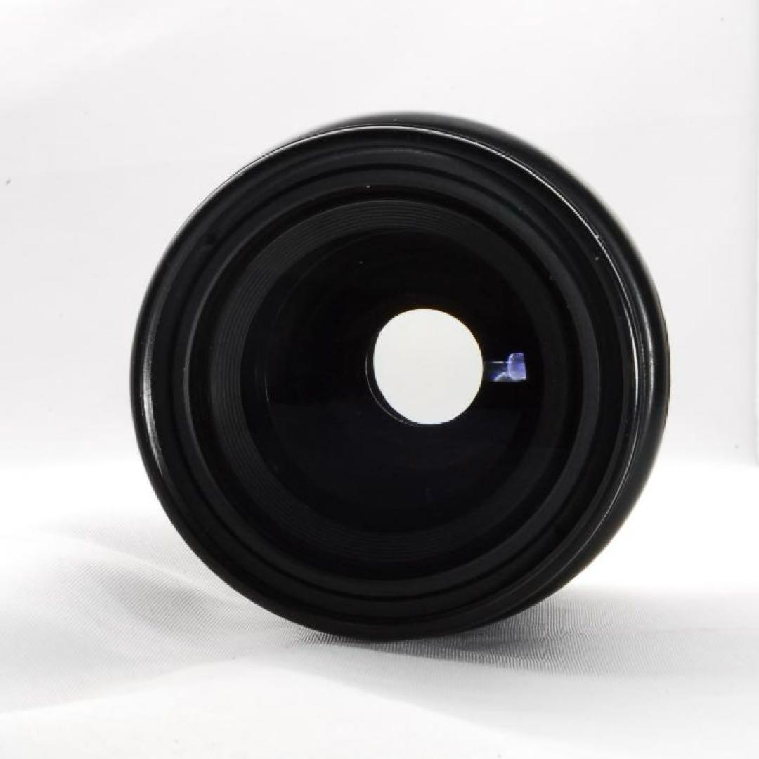 Canon Kiss Digital N望遠ズーム　初心者向け