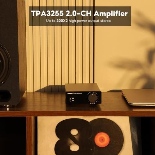AAIYIMA A07 Premium TPA3255 パワーアンプ 300Wx