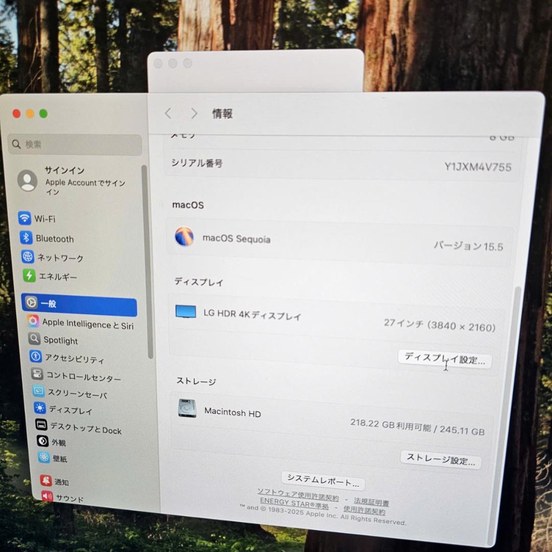 Macデスクトップ Mac mini 2023 M2 8GB 256GB