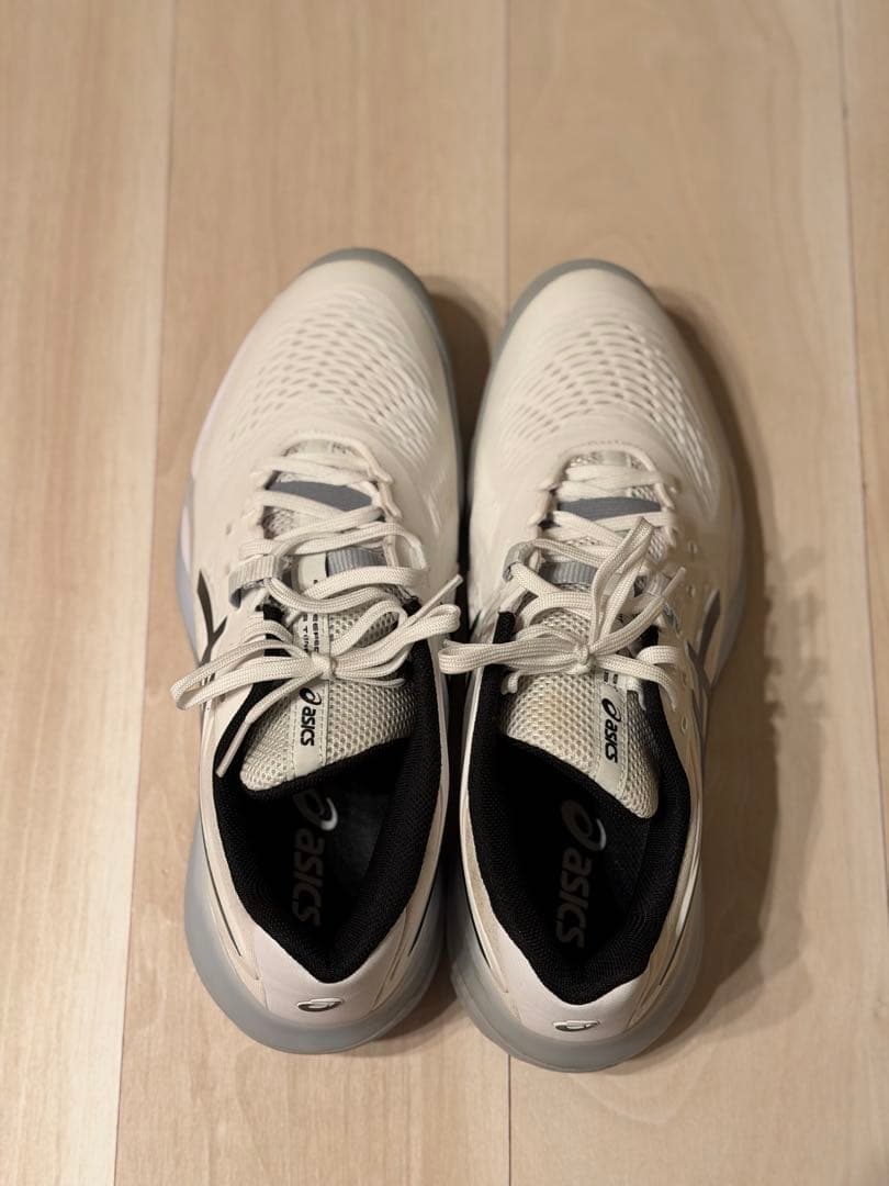 asics GEL-RESOLUTION X OC オムニ クレー 28.0cm