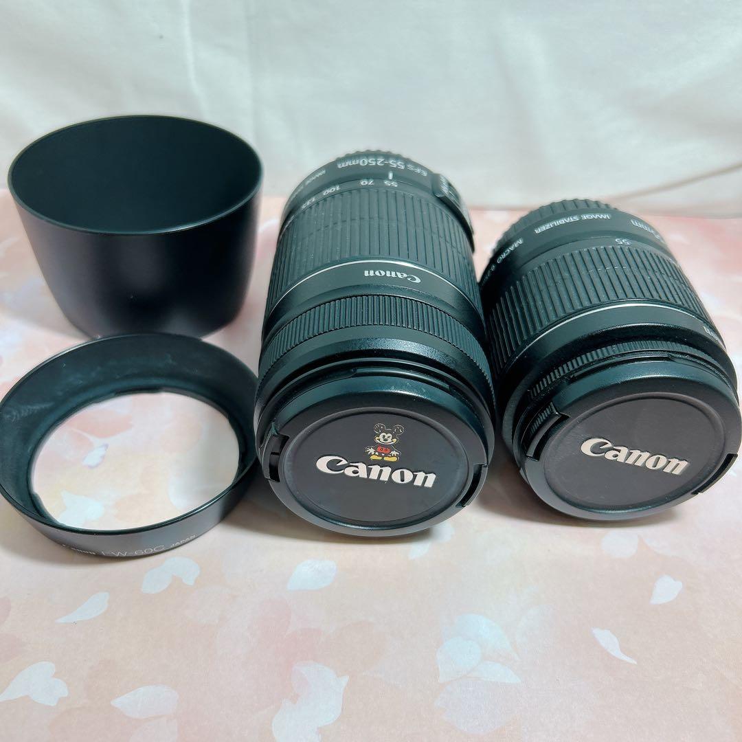 Canon EOS Kiss X5 レンズ2本セット 取説 キャノン 一眼レフ