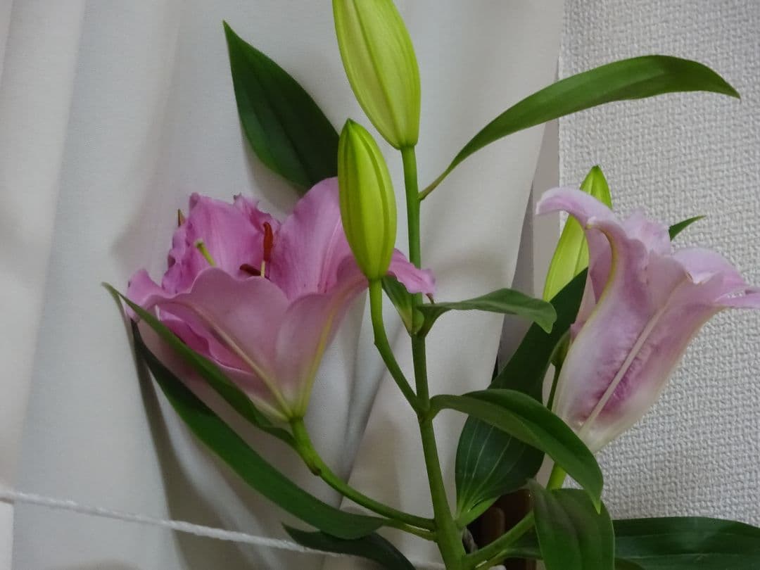 デジタルカメラ SONY DSC WX350