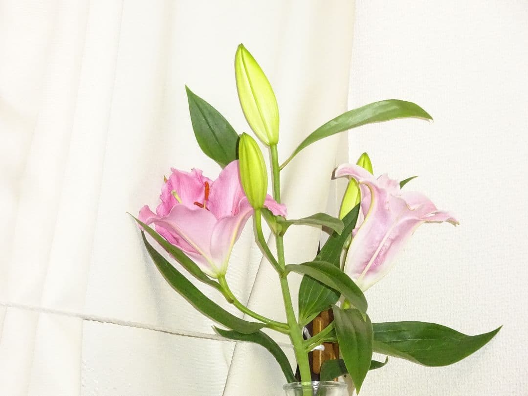 デジタルカメラ SONY DSC WX350