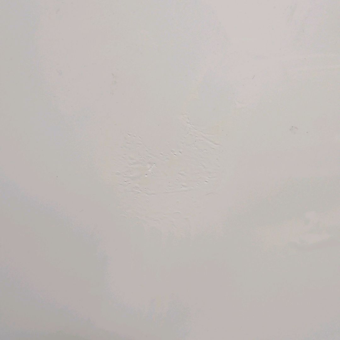 DAIKIN ダイキン 加湿空気清浄機 MCK70UE5-W 2017年製