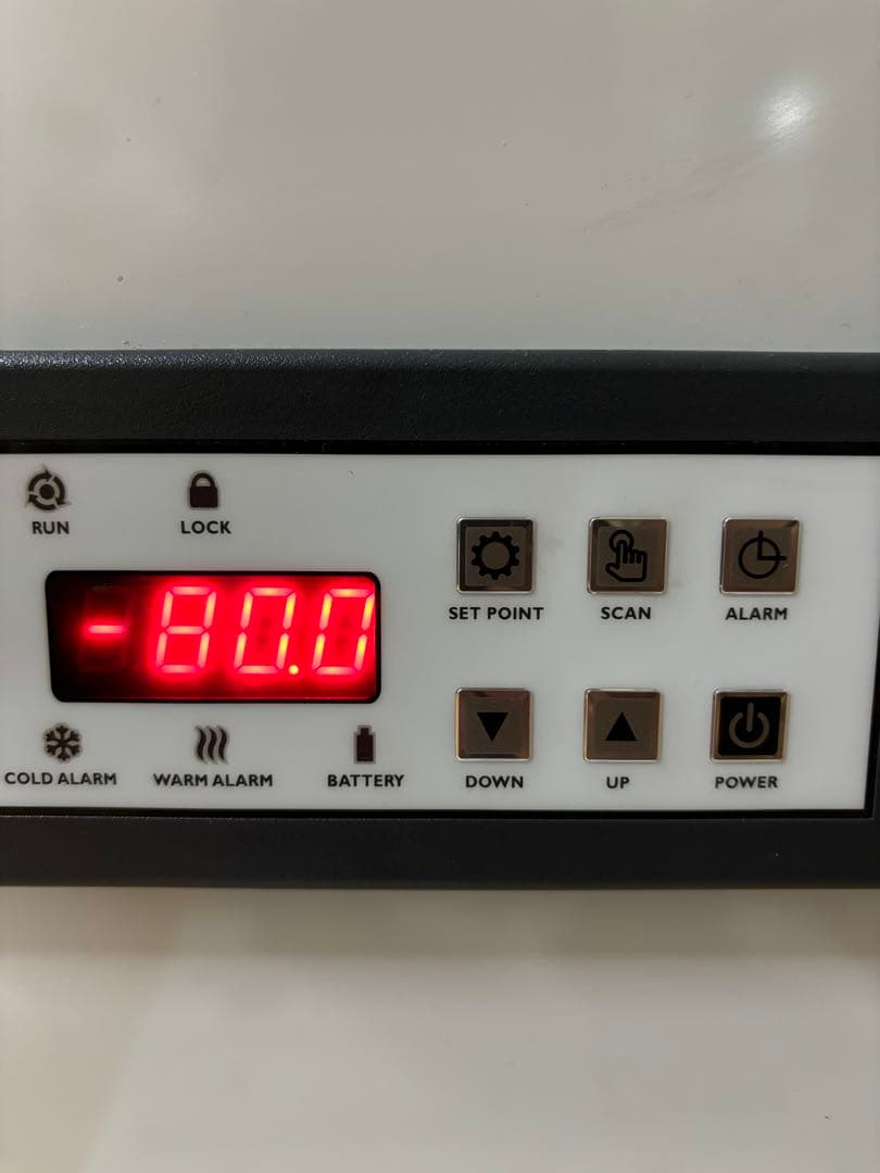 清潔コオロギ2.2kg 冷凍コオロギ　ＭＬサイズ　クロコオロギ約2kg