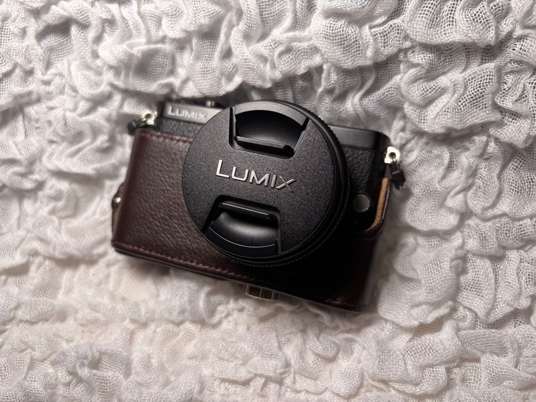 LUMIX DMC-GM1 本体 14mm F2.5 II 美品 レザーケース付