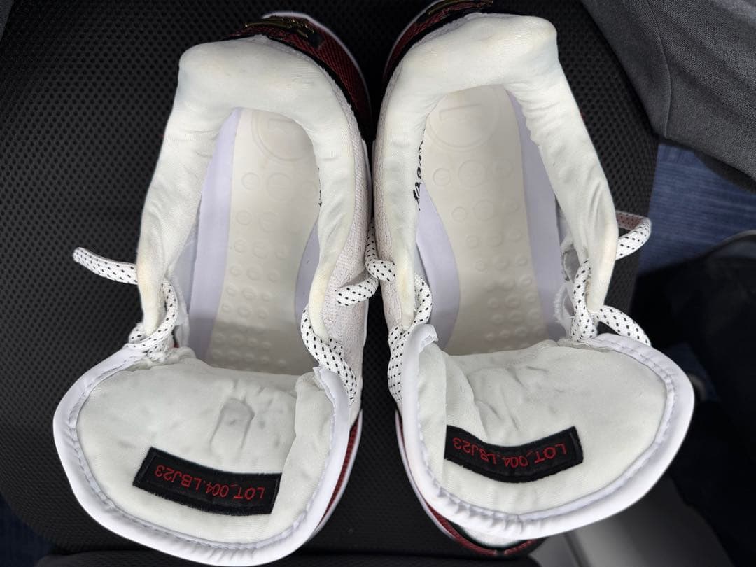 レブロン 23 EP 28.5cm グランド オープニング