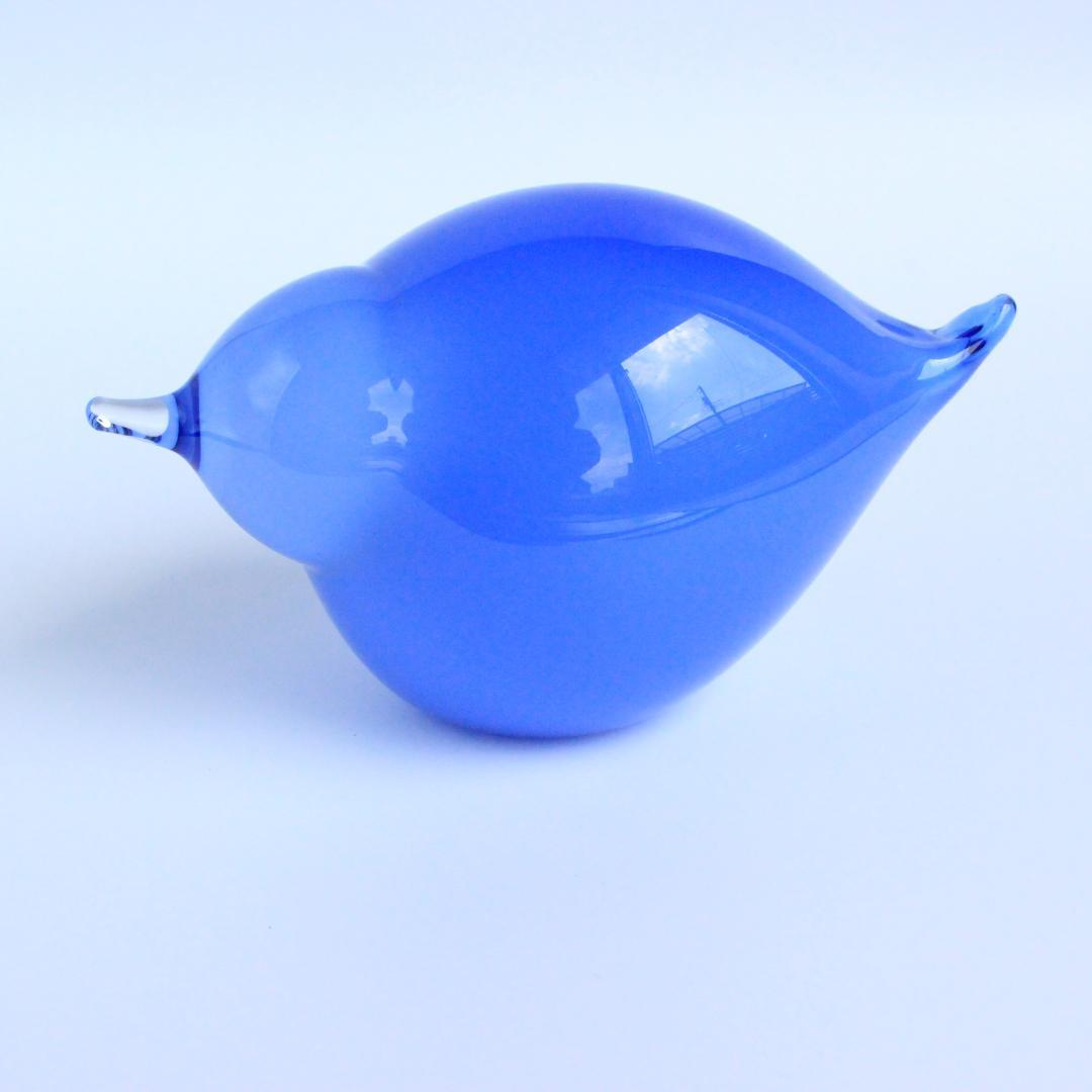 イッタラ/ヌータヤルヴ バード 2008 Suvisrri/Blue Stint