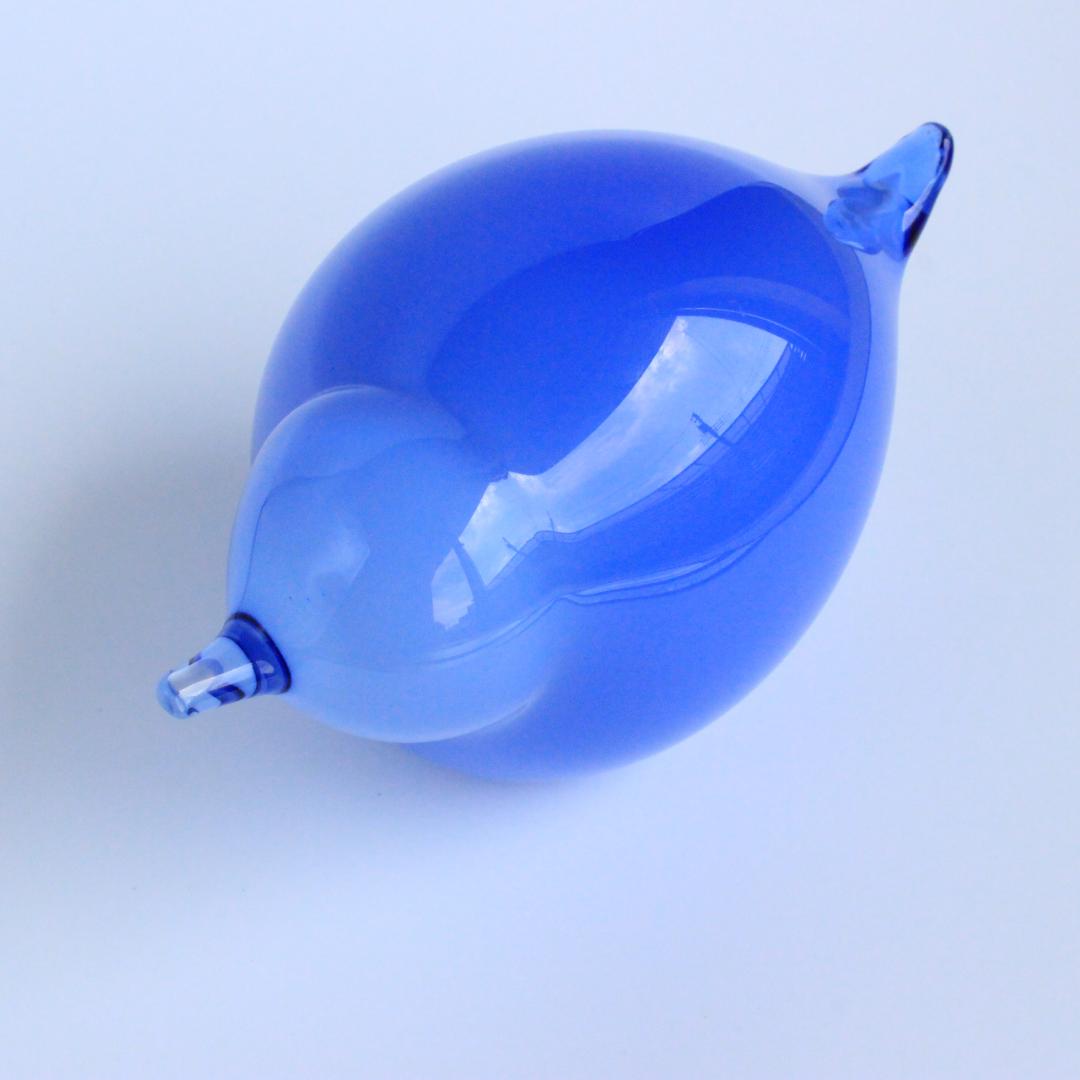 イッタラ/ヌータヤルヴ バード 2008 Suvisrri/Blue Stint