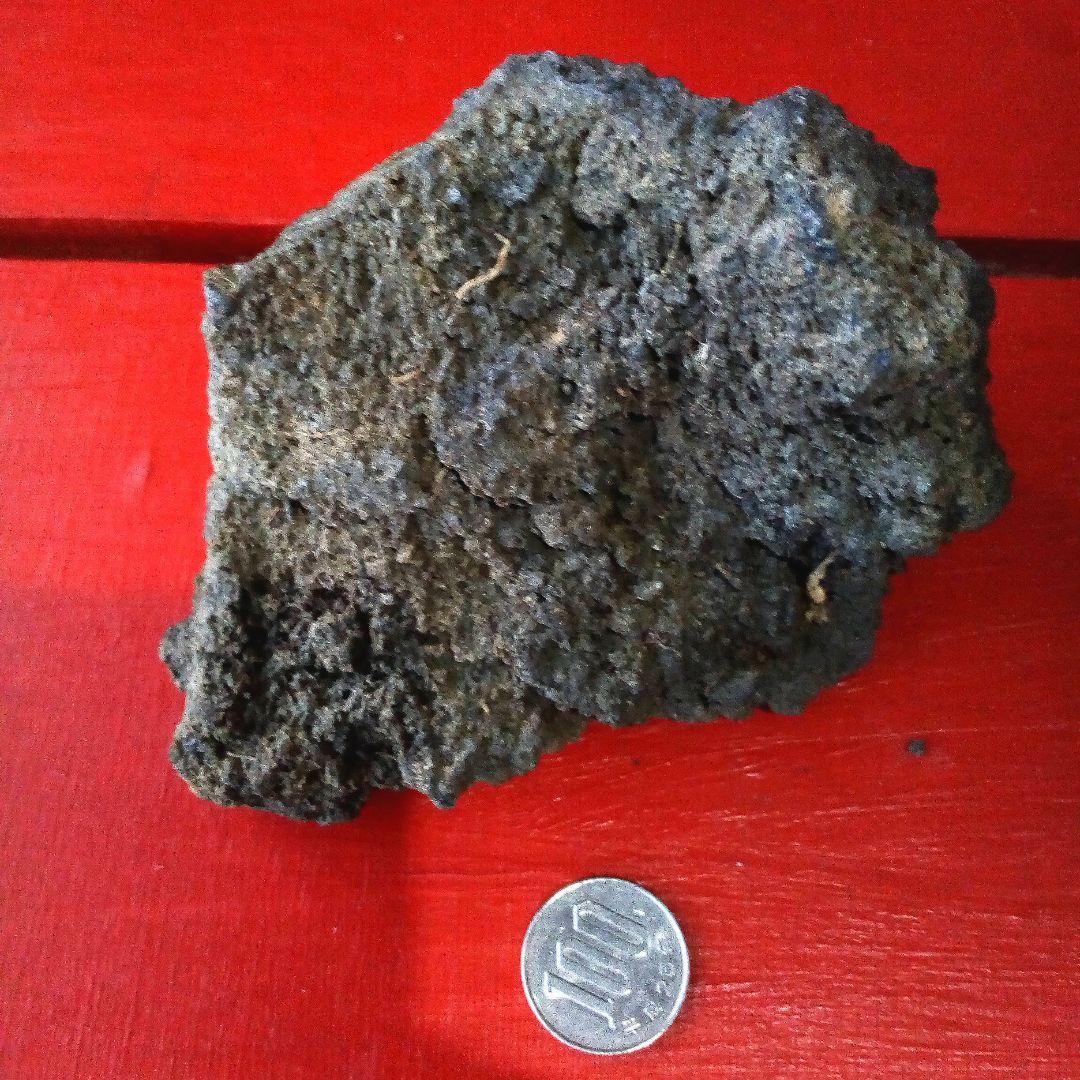 黒溶岩石　盆栽　ミニチュア庭園　アクアリウム