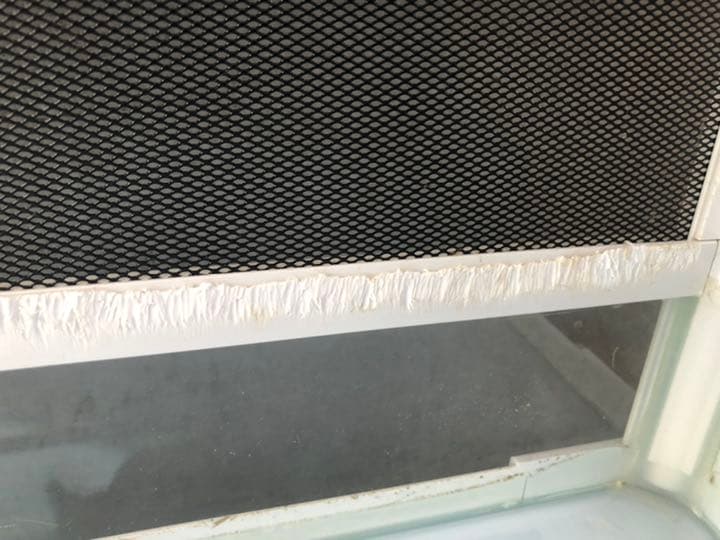 パンテオン　6045