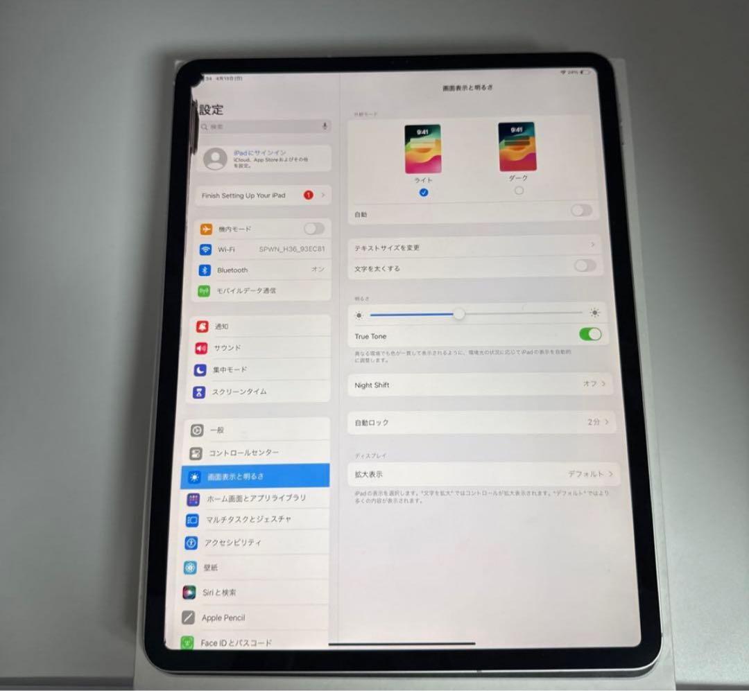 iPad Pro 12.9インチ 第3世代 256GB