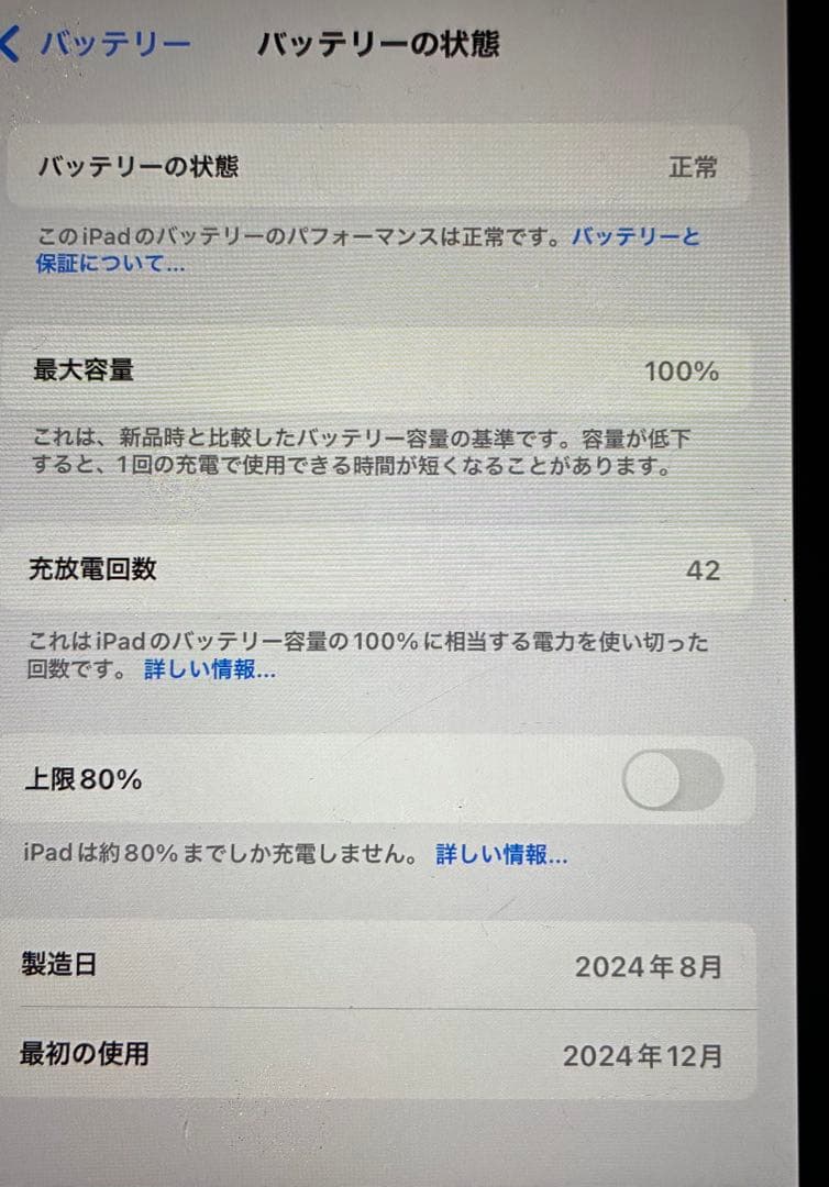 超美品 IPad mini 第7世代 A7pro 256GB 付属品完備