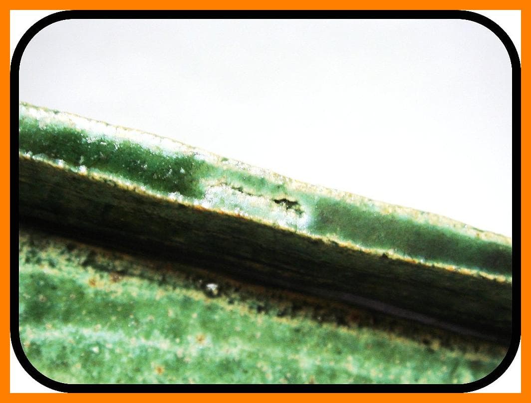 mf50623『織部 柳 菱形鉢』М　/骨董品 古美術 アンティーク 古玩