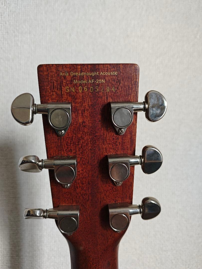Aria Dreadnought-25N アコースティックギター