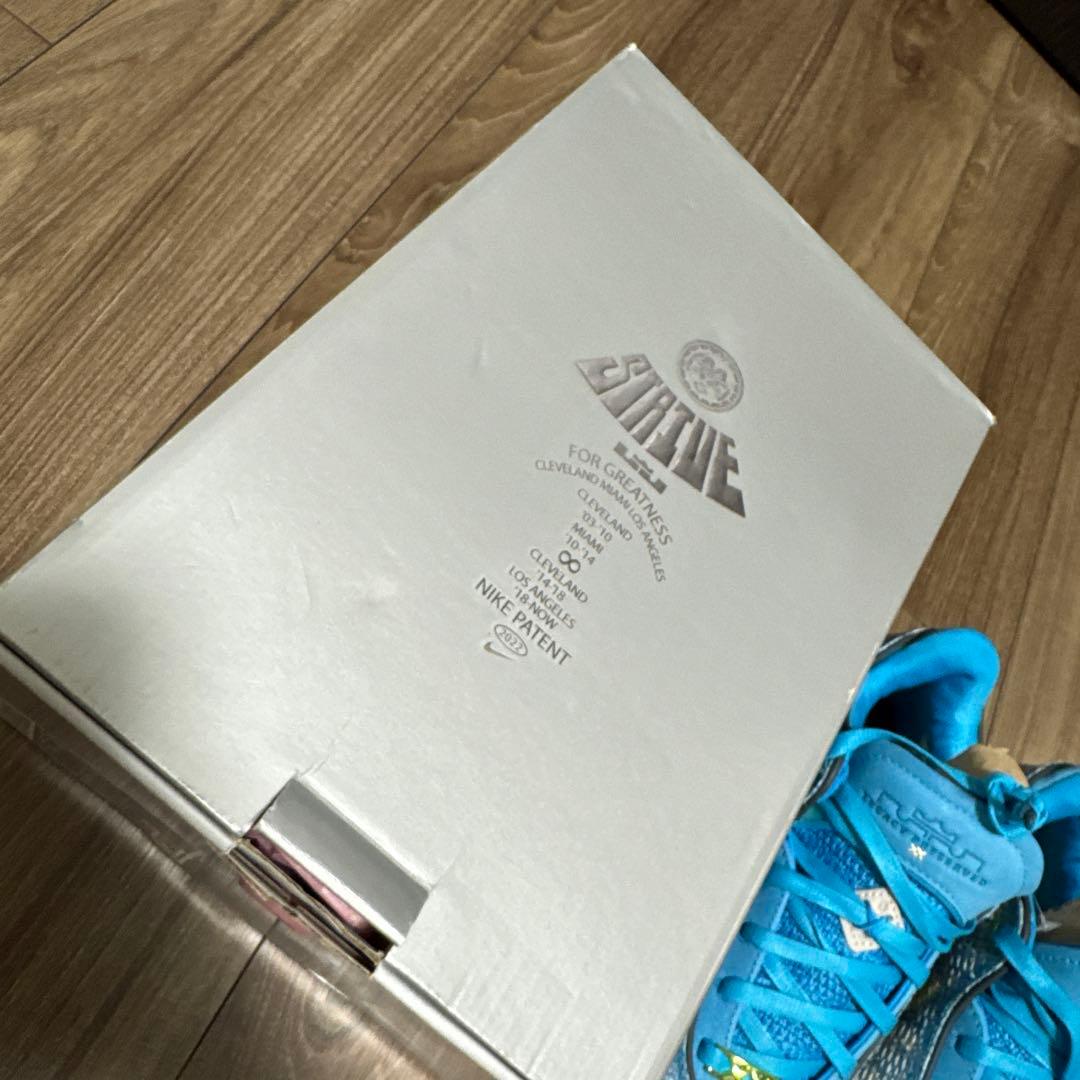 NIKE LEBRON XX ASW EP サイズ26.5cm 新品未使用