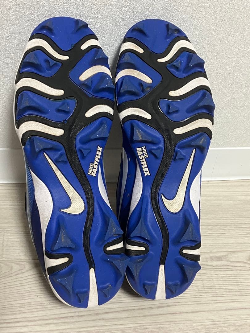 NIKE DIAMOND FASTFLEX 28.5cm 美品