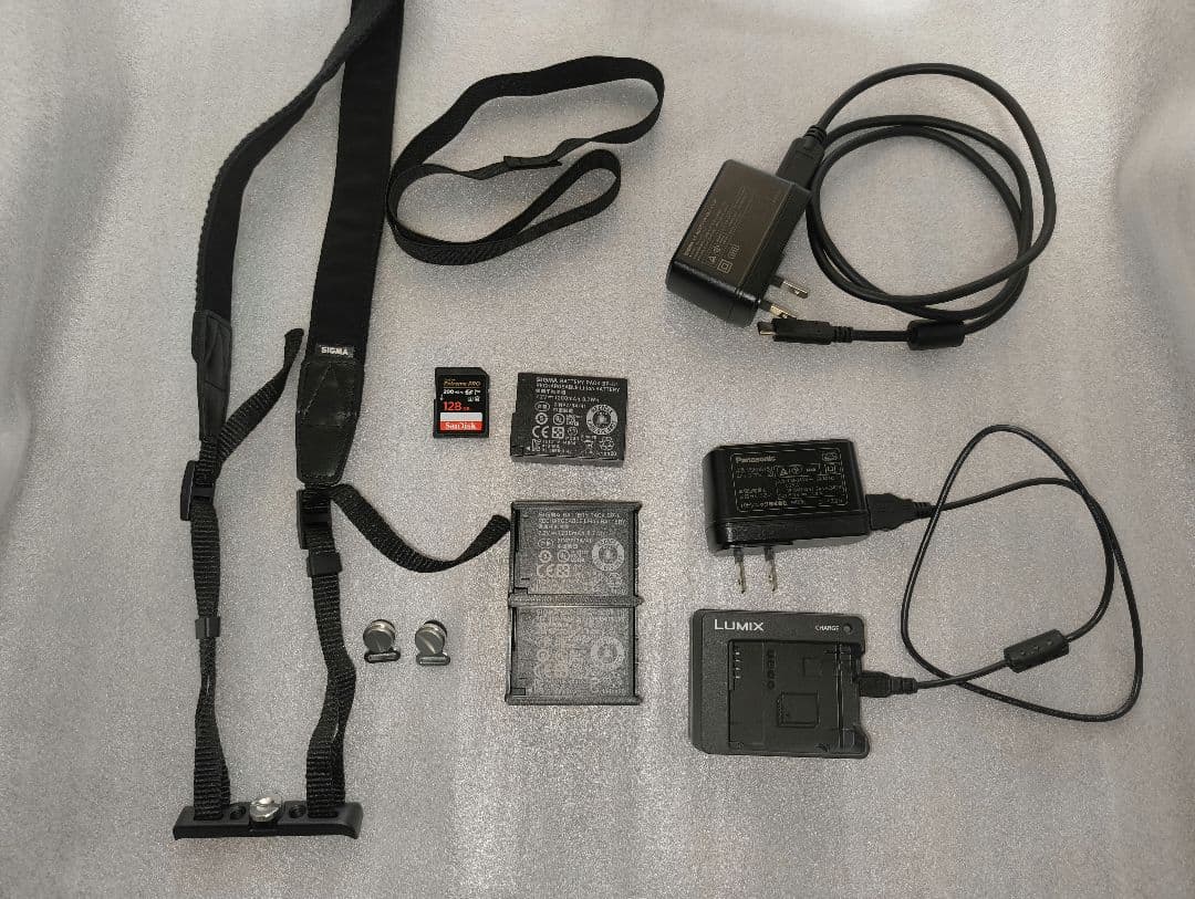 【2025/7購入】SIGMA fp 45mm F2.8 DG DN キット