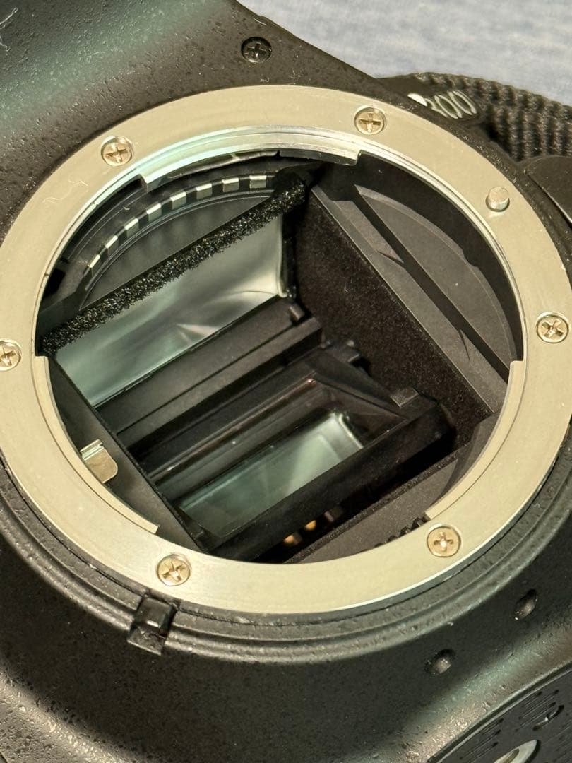 Nikon D5300 ショット数6,752枚　シグマレンズ　セット