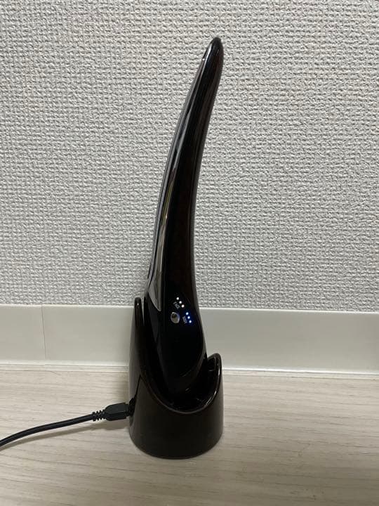 パイラナイト　PYRKNIGHT EMS 美容器 リフトアップ スキンケア