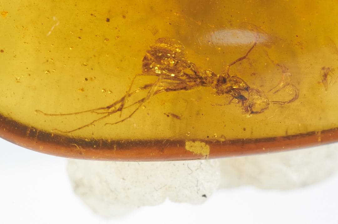 レア極上品 PA0098虫入り琥珀化石　ミャンマーカムティかタナイ9900万年前