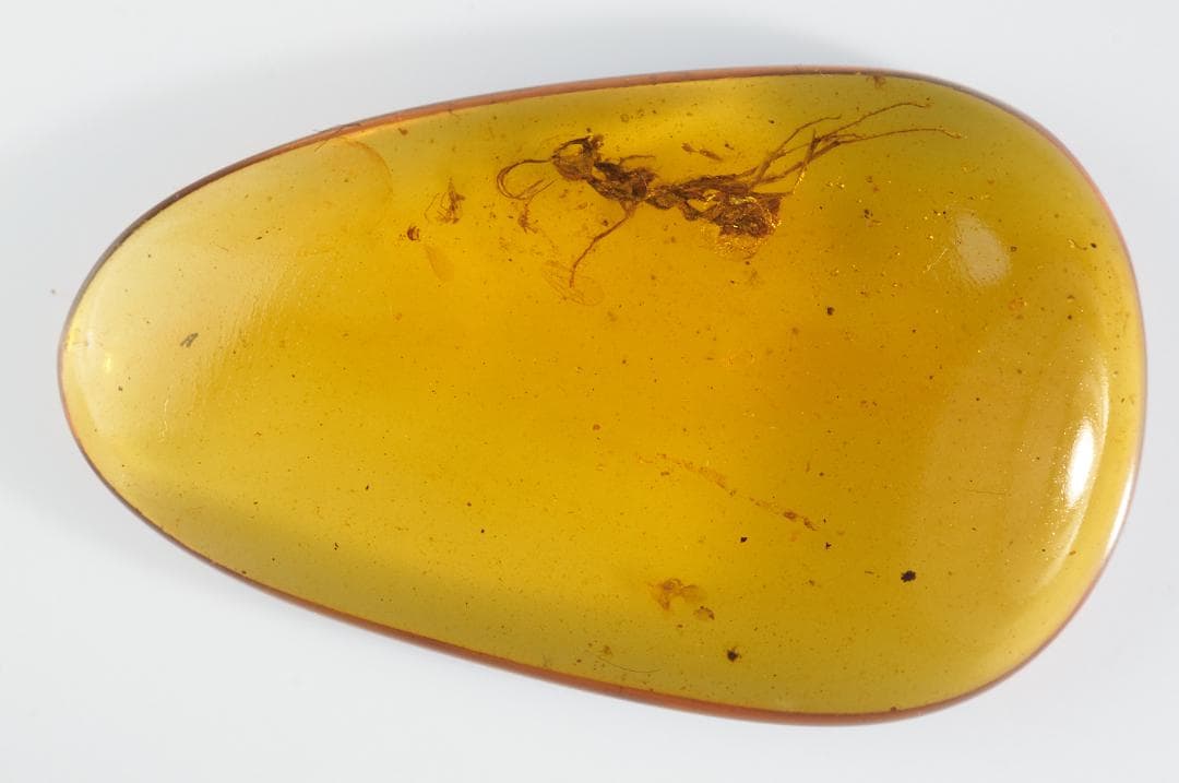 レア極上品 PA0098虫入り琥珀化石　ミャンマーカムティかタナイ9900万年前