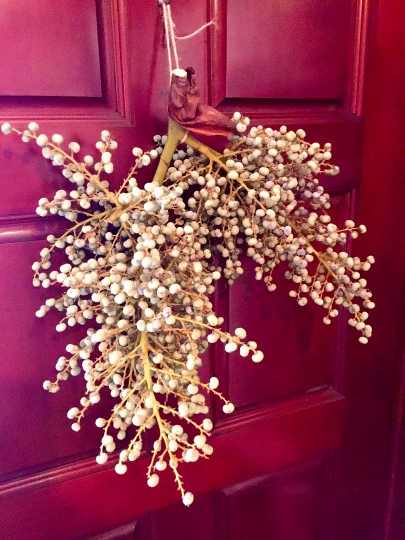 完売　希少＊高級花材【棕櫚の実＊シュロの実】花材/スワッグやリース素材に