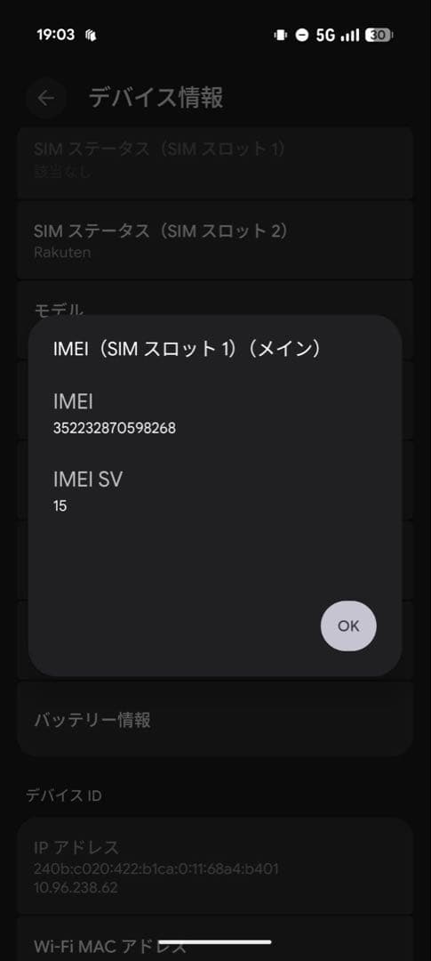 スマートフォン本体 Google Pixel 10 PRO 256GB Moonstone
