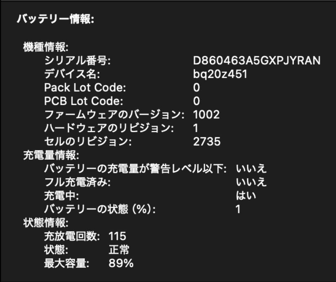 MacBook Air 2020 13インチ Apple M1