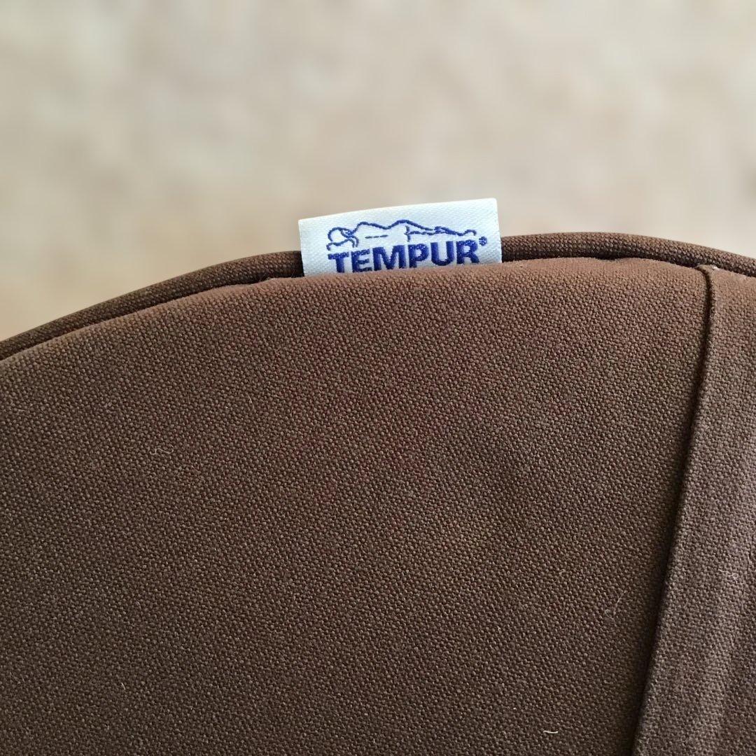 テンピュール　マルマルクッション2点