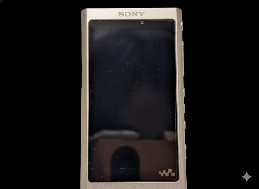 ジ*ー様 SONY　ウォークマン　NW-A55 動作確認済　ハイレゾ音源