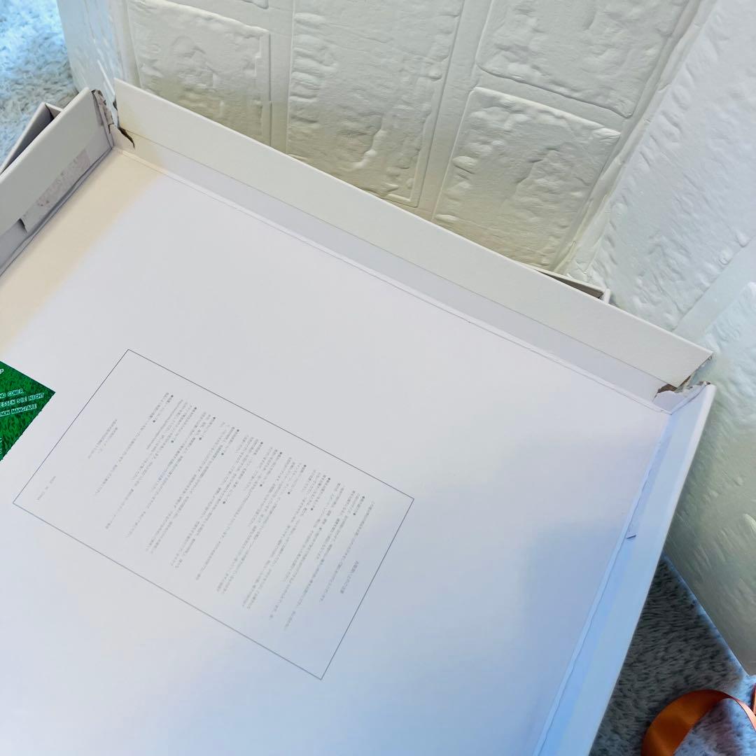 【超希少】RANDA フラワーブーケミュールサンダル Sサイズ