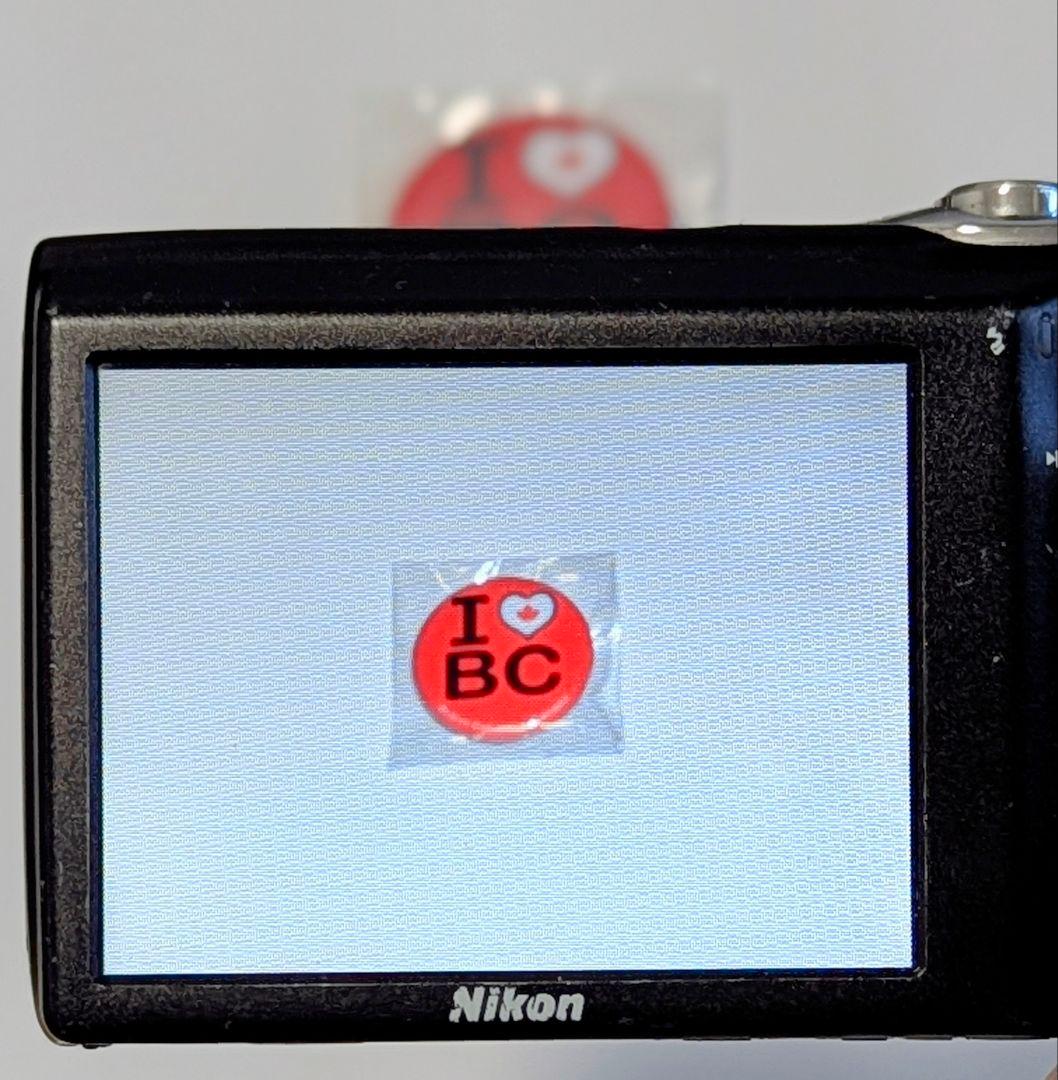 Nikon COOLPIX S3000 デジタルカメラ SDカードリーダー付